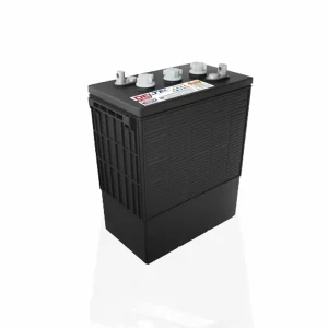 DELTEC DEL-L16G Flooded Deep Cycle Battery